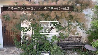 スモークツリーをシンボルツリーに vol.2 |手間いらずの庭|ガーデニング|庭木|ナチュラルガーデン|庭のある暮らし|vlog
