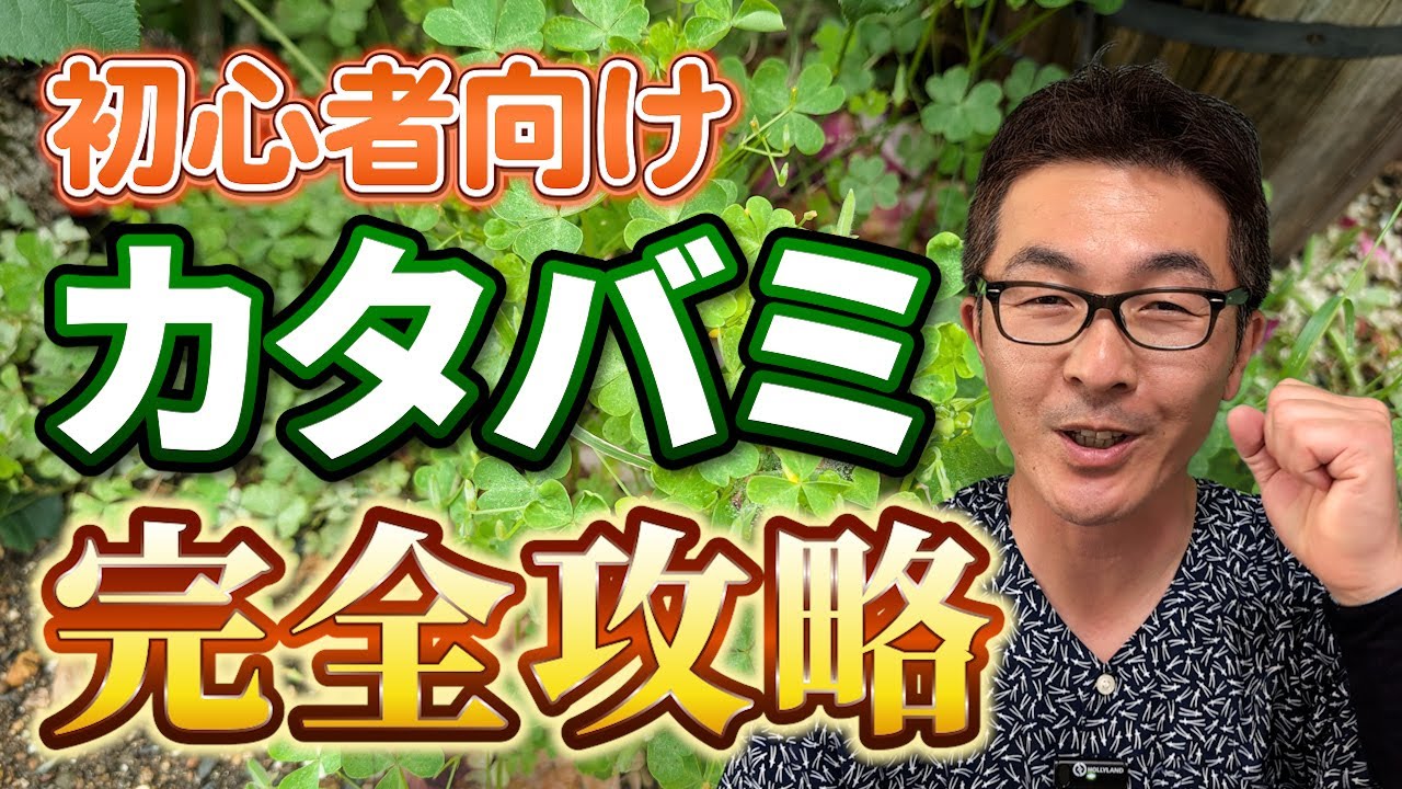 サムネ