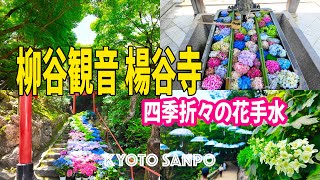 2024/6/7 紫陽花の名所を巡る『柳谷観音 楊谷寺』映えスポット間違いなし四季折々の花手水 新緑さんぽ Kyoto walk [京都4K]