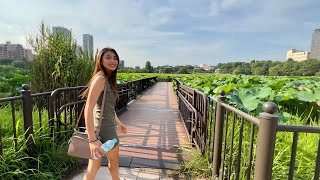 【4K】A walk in Ueno Park with my girlfriend ♡ Shinobazu