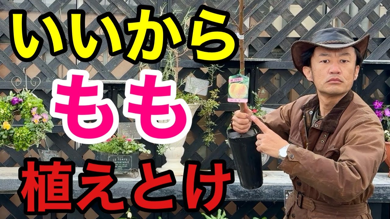 サムネ