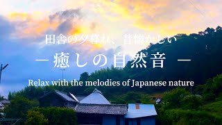 睡眠用BGM作業用BGM日本の田舎の夕暮れ時　水のせせらぎ鳥と虫の声  Relax with the melodies of Japanese nature