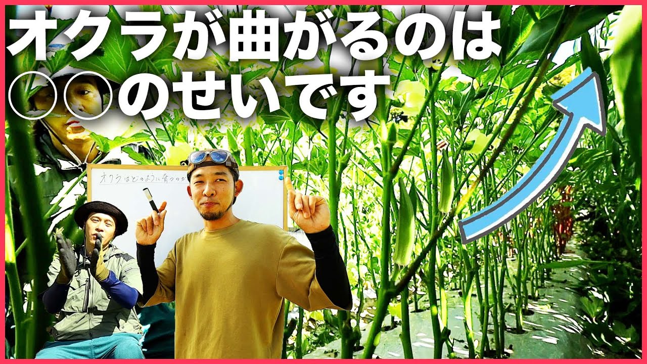 サムネ