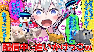 愛猫むぎそらがドアを開けて配信部屋に乱入w部屋の中を逃げ回って振り回されるおらふくんが面白すぎたw【ドズル社/切り抜き】【おらふくん】【マイクラ】