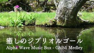 【オルゴール 癒し BGM】ジブリメドレー (睡眠用・勉強用・作業用・赤ちゃん用・自律神経にやさしい音楽・ストレス解消・更年期・免疫力・オルゴールメドレー)