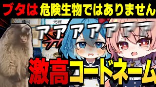 ブタは危険生物ではないです!!ゲーム終わりには激高の嵐が舞うめめ村コードネーム【コードネーム ゆっくり実況 #2】