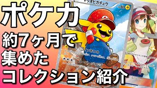「ポケカ」７ヶ月で集めたコレクション紹介「マリオピカチュウ」「ひかるリザードン」