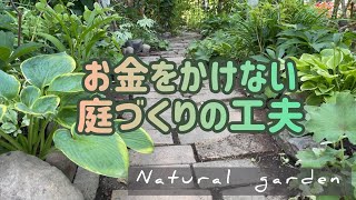 自然を生かした節約庭づくり【今綺麗なシェードの宿根草紹介】