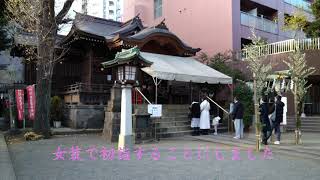 【女装】訪問着を着て初詣に行ってきました