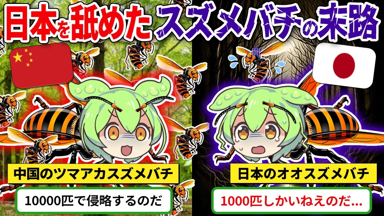 サムネ