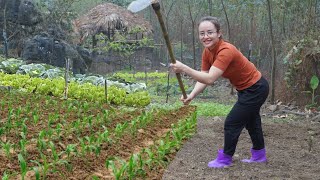 How to garden and make black sesame fried banana cake, cold rainy day at the farm