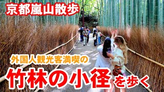6/25(水)平日の京都散歩 外国人観光客が満喫の嵐山竹林の小径を歩く【4K】Kyoto Japan Walk