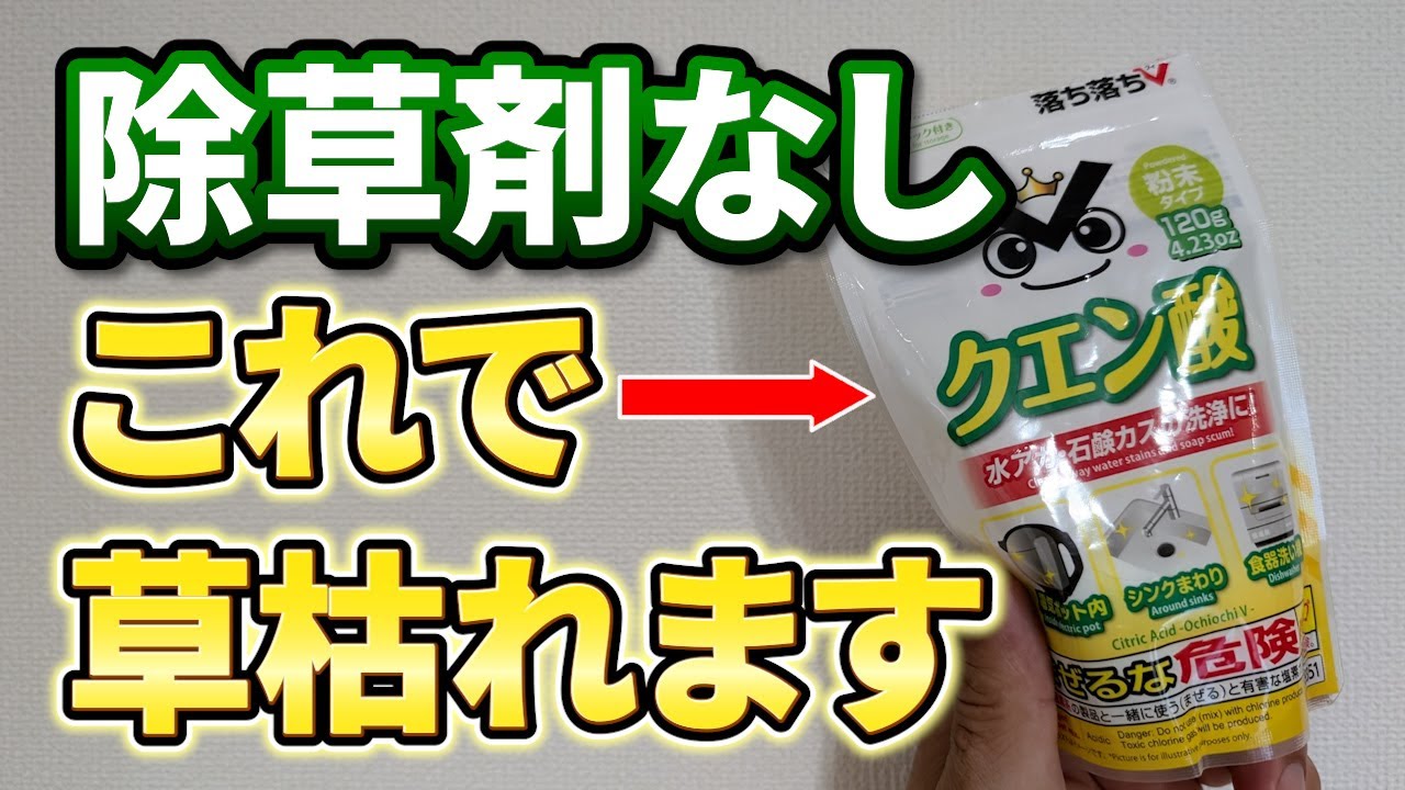 サムネ