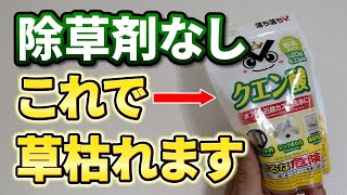 【安全安心】体に良い物だけで作った除草剤で雑草は枯れるのか実験してみた