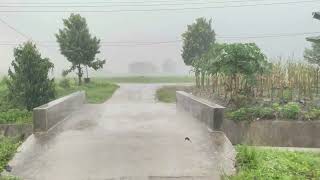 Super heavy RAIN strong Winds,thunderstorms and Keep sounding don't Stop|Very refreshing & soothing