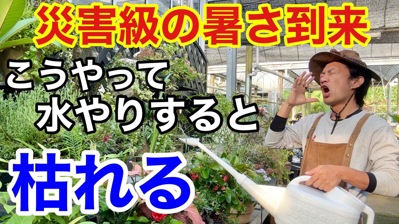 サムネ