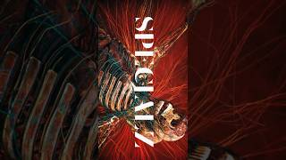 SPECIALZ Intro ver.
