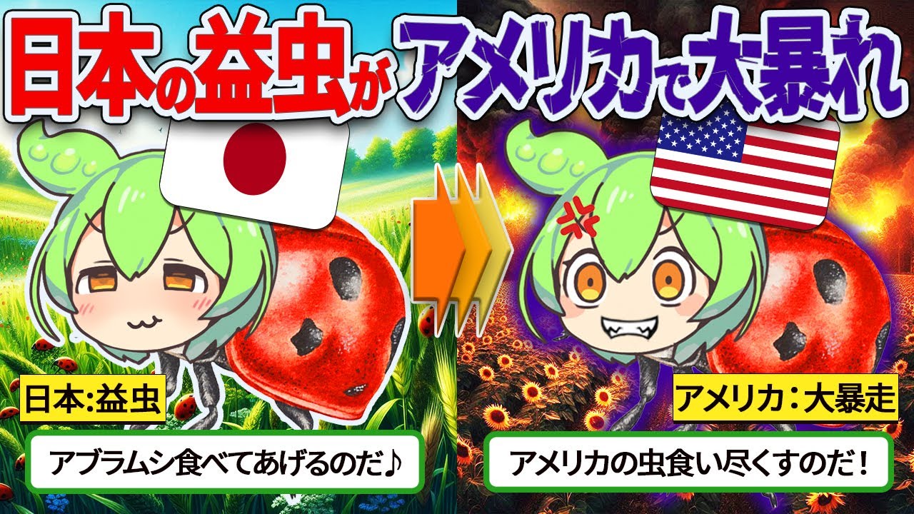 サムネ
