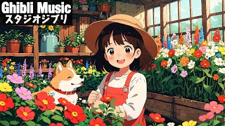 ジブリメドレー 🌸 史上最高のジブリ コレクション 🌸 千と千尋の神隠し , 魔女の宅急便 , となりのトトロ , 天空の城ラピュタ , 崖の上のポニョ , ハウルの動く城 , 風の谷のナウシカ