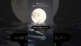【毎日頑張る貴方へ】癒しのピアノ名曲カバー🎹ラウンジピアニストがお届けするピアノチャンネル#shorts