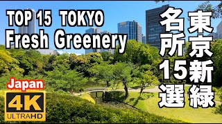 東京の新緑名所15選 15 spots for fresh greens in Tokyo 東京観光 東京旅行 東京の森 緑 自然 高尾山 新宿御苑 御岳山 代々木公園 昭和記念公園 Japan