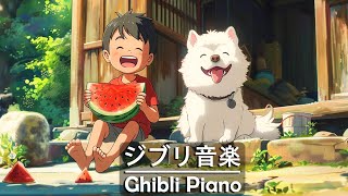 【Relaxing Ghibli】 ジブリ メドレー🔱ピアノ ジブリコレクション🔱 ジブリのベストピアノ曲 🔱 魔女の宅急便, となりのトトロ, 千と千尋の神隠し, 崖の上のポニョ