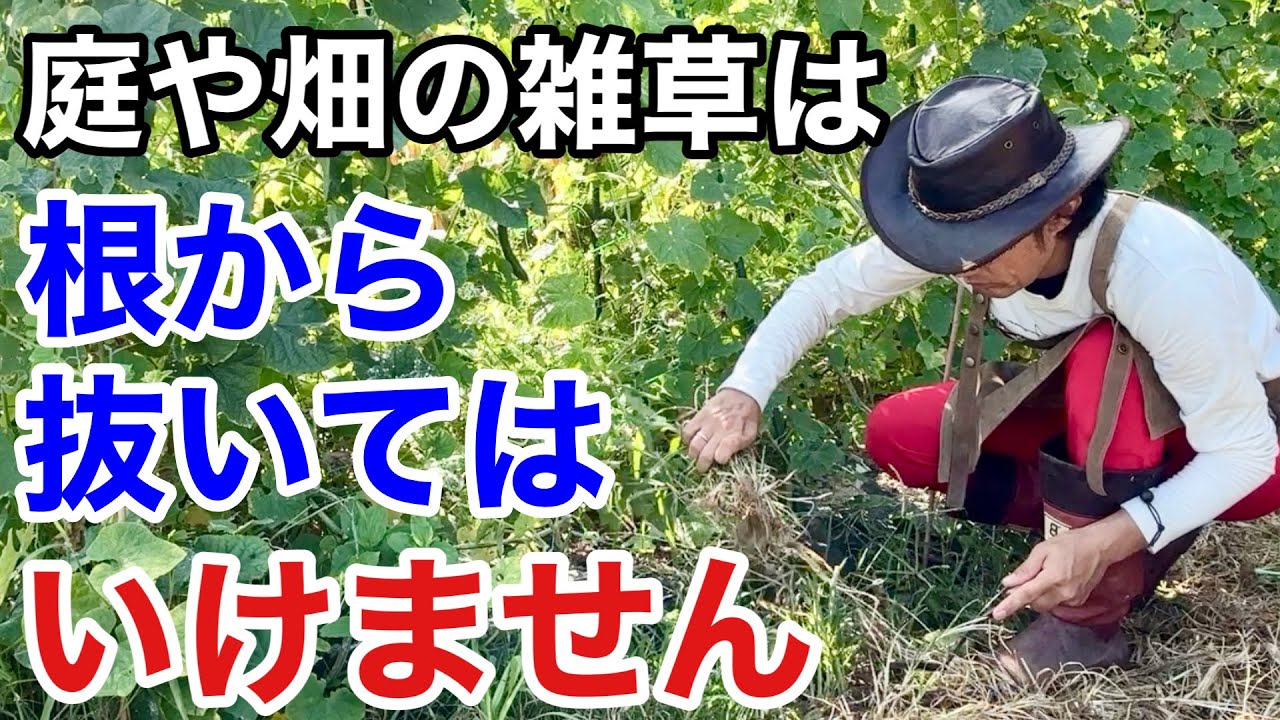 サムネ