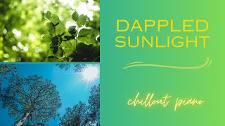 Dappled Sunlight - DAW Piano Trio | Chillout & New Age Piano | Relaxing BGM