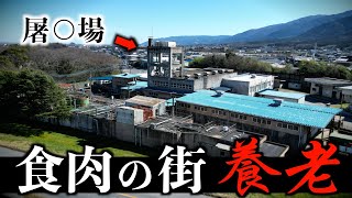 [Yoro, Gifu Prefecture] Why did meat production flourish in the former "Buraku" community at the ...