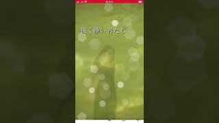 強く儚い者たち　cocco 歌ってみたよ