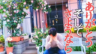 【40代ぼっちおじさんの庭作り】最愛の娘に捧げる贈り物
