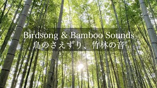 Spring birdsong, Bamboo Sounds for Relaxation, Sleep, Meditation, Study / 1 hour Nature Sound / ASMR