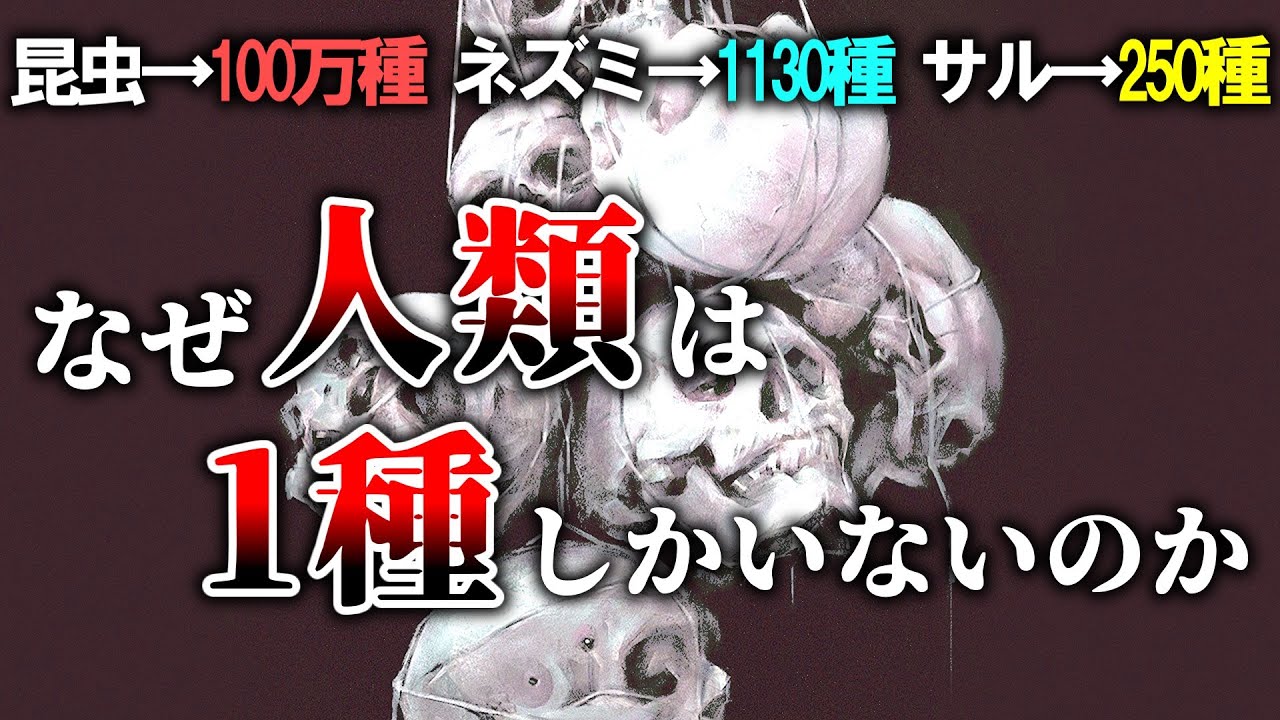 サムネ