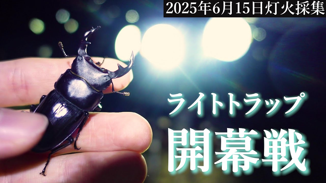 サムネ