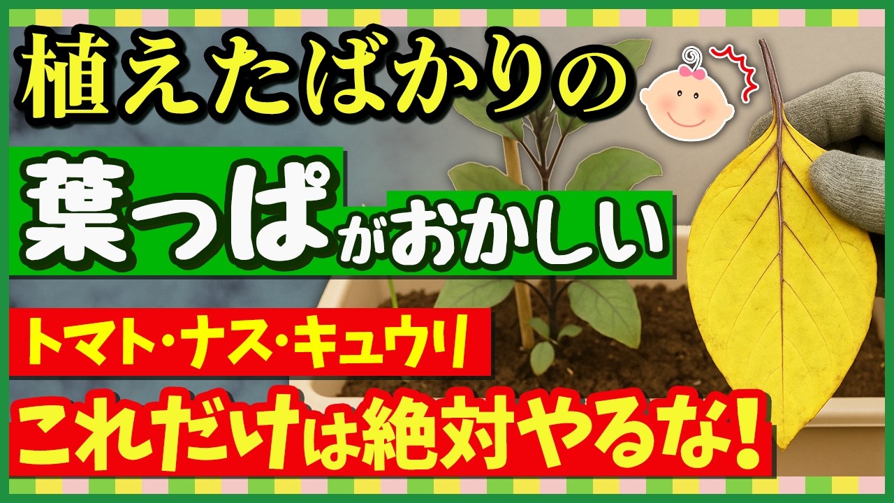 サムネ