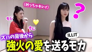 【LE SSERAFIM】カズハはILLITのモカちゃんにだいぶ愛されていることが判明ｗｗｗ【日本語字幕】