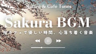 Relaxing Piano & Bossa Nova for Spring – A Gentle Moment with Blooming Cherry Blossoms☕🌸