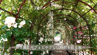🌹癒しの大人散歩｜温海温泉編｜バラ園とカフェとやさしい時間を巡る旅
