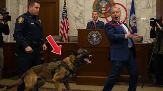 英雄的なK9犬が警官と共に勲章を受けるが、予期せぬ出来事がすべてを変える！