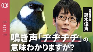 【鳥の言葉が分かる“天才”東大准教授】動物言語学者・鈴木俊貴/鳥にも文法がある/シジュウカラの「ジャージャー」はヘビ!?/「言葉は人間だけ」と決めつけない思考法【CROSS DIG 1on1】