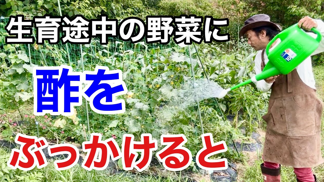 サムネ