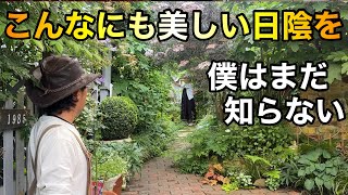 【極上シェードガーデン】暗い狭いがこんなにも美しいなんて｡｡｡　　　　　　　　　【カーメン君】【個人庭】【のりこさん】