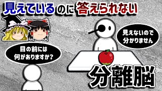 【ゆっくり解説】右脳と左脳を切断することにより起こる不可思議な現象－分離脳－