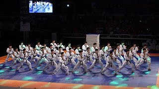 2018 제주 한마당 Jeju World Taekwondo Hanmadang,Opening Ceremony,Kukkiwon Demonstration Team 국기원,国技院