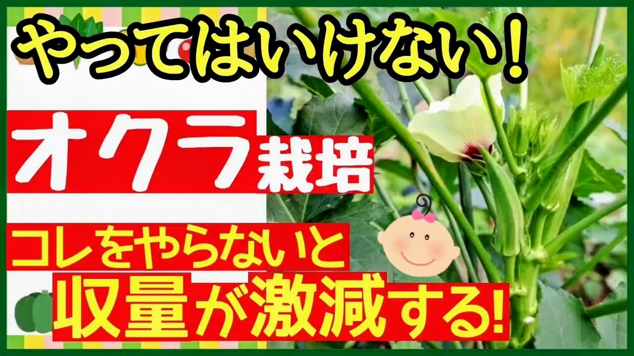 サムネ