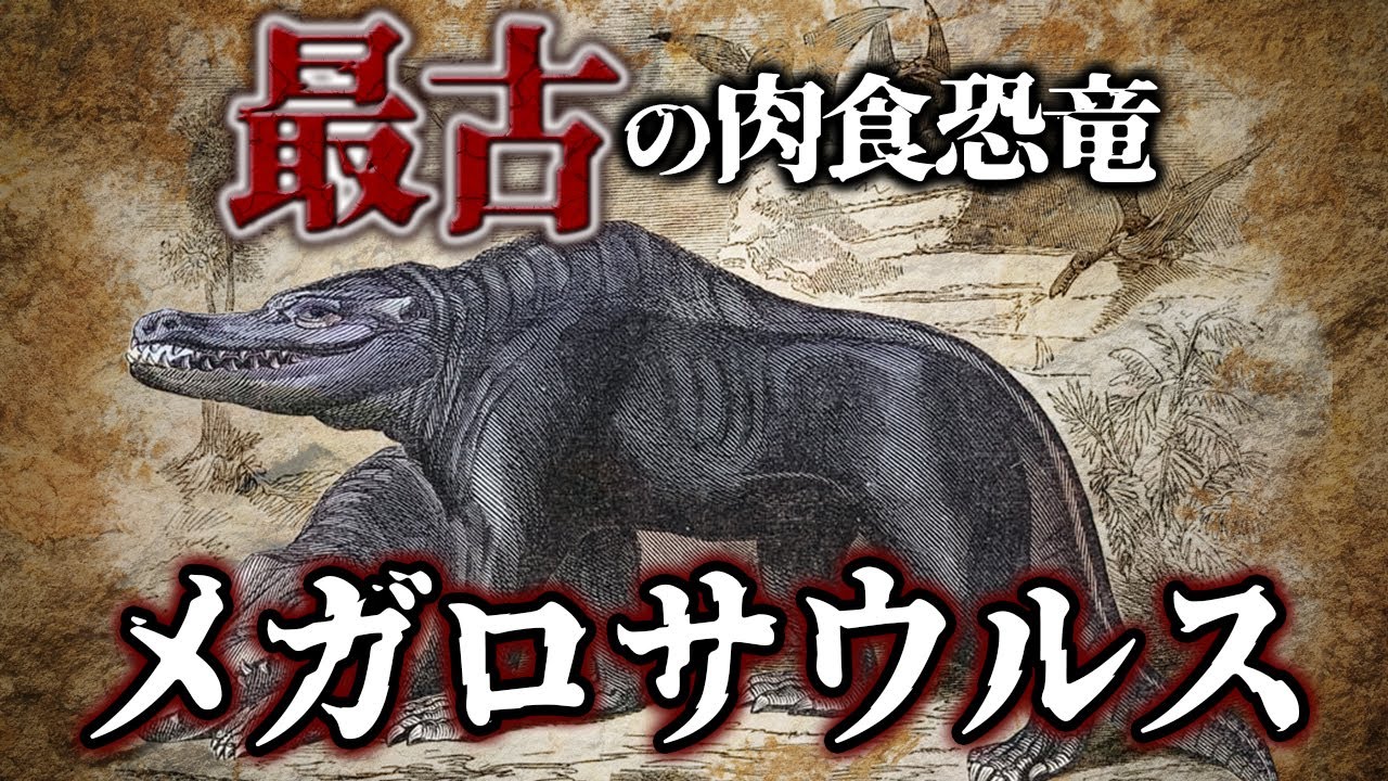 サムネ