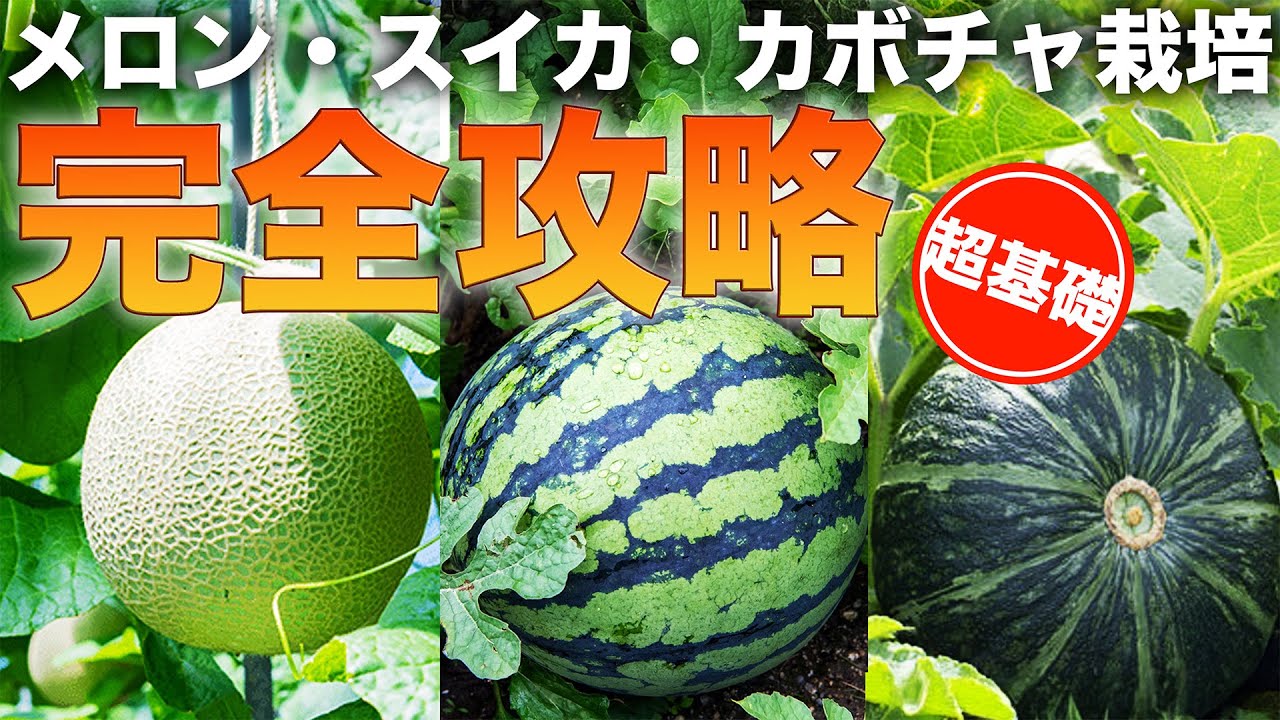 サムネ