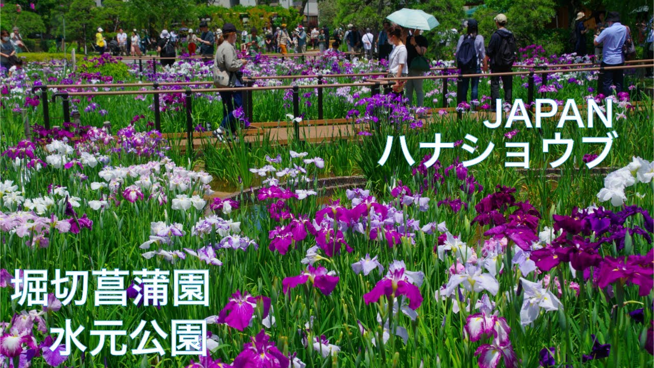サムネ