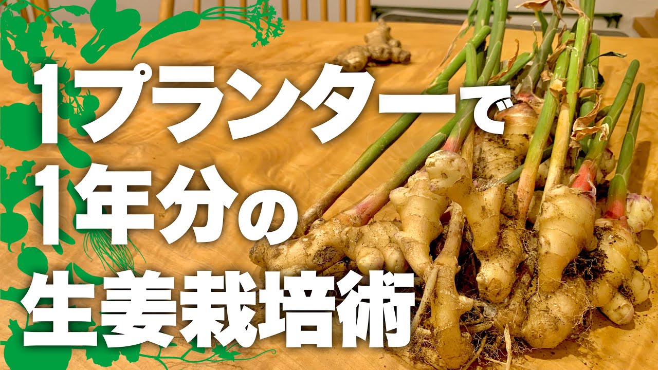 サムネ