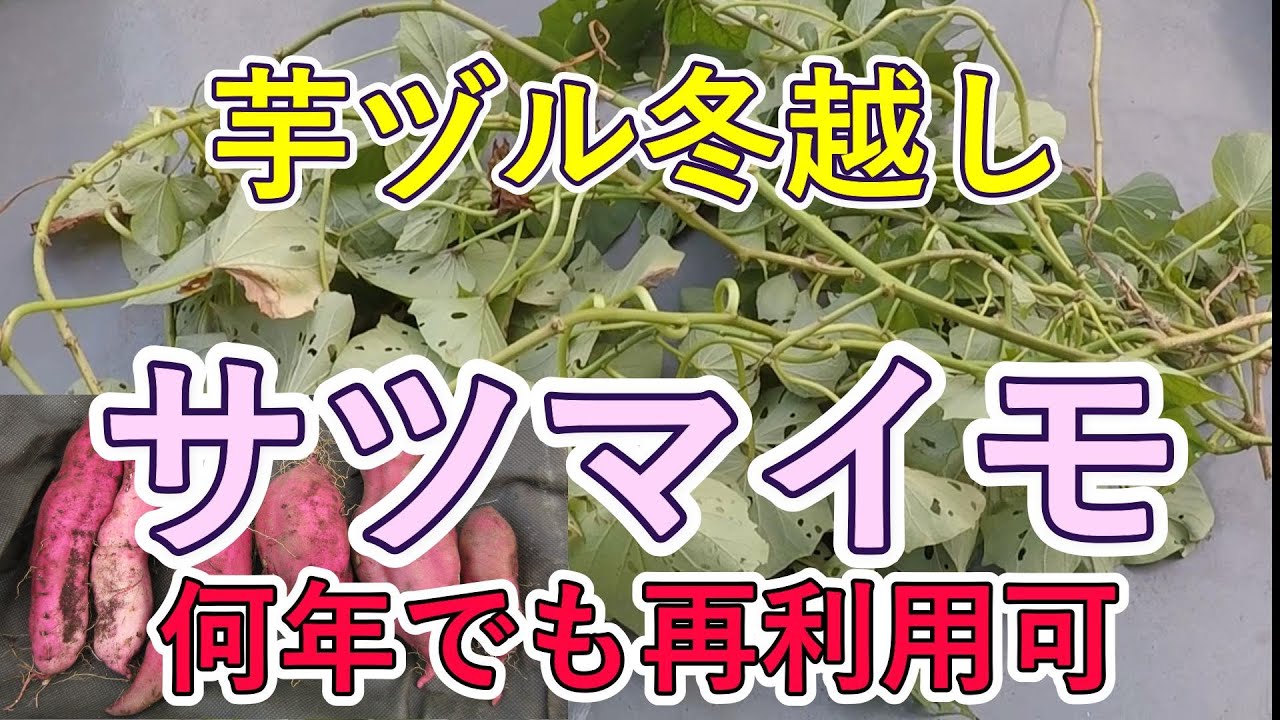 サムネ